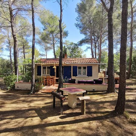 Maisonnette En Pleine Nature Le Beausset Exteriér fotografie